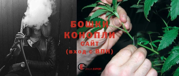 apvp Алексин