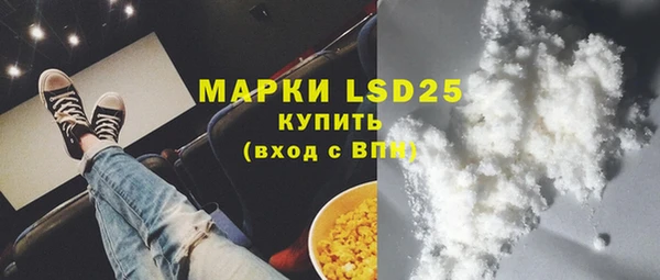 винт Алзамай