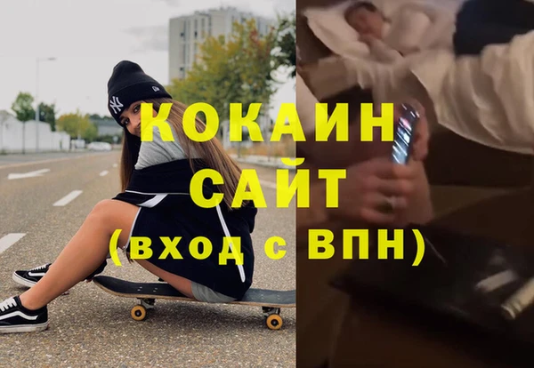 apvp Алексин