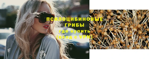 винт Алзамай