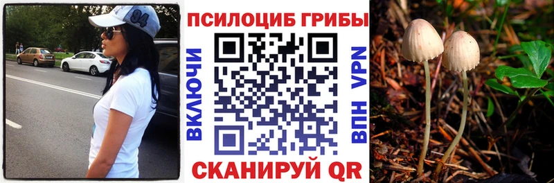 Галлюциногенные грибы Magic Shrooms  Чёрмоз 
